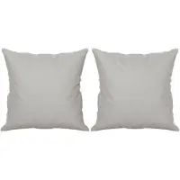 vidaXL Sierkussens 2 st 40x40 cm microvezelstof lichtgrijs