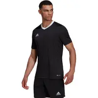 Adidas Functioneel shirt 'Entrada 22' zwart / wit