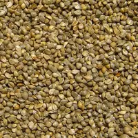 Deli Nature - Vogelvoer- Japanse Millet- 2 kilo