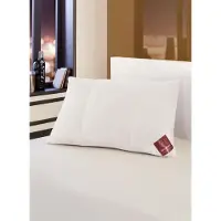 Brinkhaus Hoofdkussen ruby 60 x 70 cm