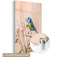 MuchoWow Glasschilderij - Foto op glas - Vogel - Pimpelmees - Veren - Riet - Natuur - Acrylglas - 120x180 cm - Wanddecoratie glas - Glasschilderij dieren - Schilderij glas - Glasschilderij vogels
