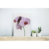 MuchoWow Glasschilderij 30x40 cm - Schilderij acrylglas - Roze orchideebloem - Foto op glas - Schilderijen