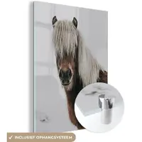 MuchoWow Glasschilderij 120x160 cm - Schilderij acrylglas - Paarden - Dieren - Portret - Bruin - Wit - Foto op glas - Schilderijen