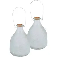 Esschert Design Set van 2x stuks wespenvangers/wespenvallen transparant glas 21 cm - Ongediertevallen - Ongediertebestrijding