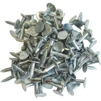 Wovar Asfaltnagels Verzinkt 3 x 18 mm | Doos 1 KG