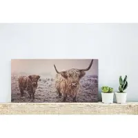 MuchoWow Glasschilderij 40x20 cm - Schilderij acrylglas - Schotse Hooglanders - Sneeuw - Zon - Foto op glas - Schilderijen