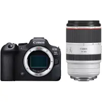 Canon EOS R6 Mark II systeemcamera + RF 70-200mm f/2.8L IS USM