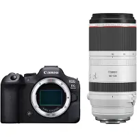 Canon EOS R6 Mark II systeemcamera + RF 100-500mm f/4.5-7.1L IS USM