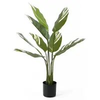 PT Living Kunstplant Calathea Green White