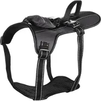 MaxxPet Flamingo HondenHarnas Kelso - Kattentuigje - 54-84cm x 25mm x 2mm - Grijs