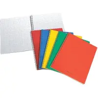 Aurora - Spiraalcarnet 75x110mm ruit 5x5mm 80vel assorti | 1 stuk | 20 stuks