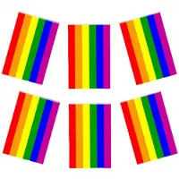Henbrandt Regenboog vlaggenlijn 2x stuks van 7 meter - Vlaggenlijnen