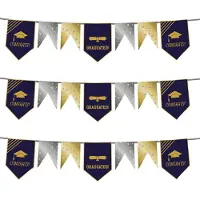 Folat Vlaggenlijn geslaagd thema - 3x - 6 meter - goud/zilver - papier - examenfeest hangdecoratie - Vlaggenlijnen