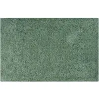 MSV Badkamerkleedje/badmat tapijt voor de vloer - groen - 40 x 60 cm - Badmatjes