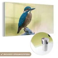 MuchoWow Glasschilderij 120x60 cm - Schilderij acrylglas - IJsvogel - Tak - Vogel - Foto op glas - Schilderijen
