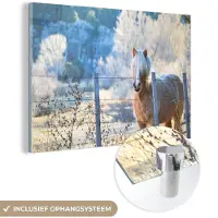 MuchoWow Glasschilderij 120x80 cm - Schilderij acrylglas - Paard - Winter - Sneeuw - Foto op glas - Schilderijen