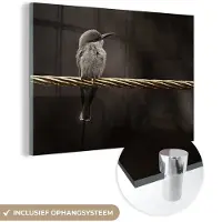 MuchoWow Glasschilderij 180x120 cm - Schilderij acrylglas - Vogel - Black - Gold - Foto op glas - Schilderijen