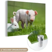 MuchoWow Glasschilderij 180x120 cm - Schilderij acrylglas - Biggetje - Konijn - Dieren - Foto op glas - Schilderijen