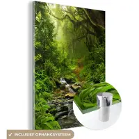MuchoWow Glasschilderij - Schilderij glas - Bos - Water - Jungle - Stenen - Groen - Acrylglas - Wanddecoratie - Foto op glas - 60x80 cm - Muurdecoratie - Schilderijen woonkamer