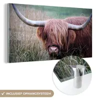 MuchoWow Glasschilderij 80x40 cm - Schilderij acrylglas - Schotse Hooglander - Hoorns - Gras - Foto op glas - Schilderijen