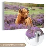 MuchoWow Glasschilderij 160x80 cm - Schilderij acrylglas - Schotse Hooglander - Bruin - Struiken - Foto op glas - Schilderijen