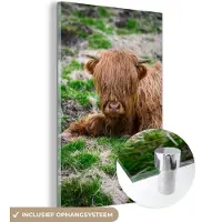 MuchoWow Glasschilderij 20x30 cm - Schilderij acrylglas - Schotse Hooglander - Hooi - Gras - Foto op glas - Schilderijen