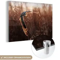 MuchoWow Glasschilderij - Foto op glas - Acrylglas - Vogel - Uil - Zonsondergang - Natuur - Wanddecoratie - 180x120 cm - Glasschilderij vogels - Schilderij glas - Glasschilderij uil - Kamerdecoratie