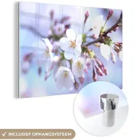 MuchoWow Glasschilderij 120x80 cm - Schilderij acrylglas - Bloemen - Sakura - Tak - Bloesem takken - Foto op glas - Muurdecoratie woonkamer - Wanddecoratie slaapkamer - Schilderijen