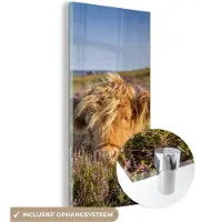 MuchoWow Glasschilderij 80x160 cm - Schilderij acrylglas - Schotse Hooglander - Heide - Gras - Dieren - Foto op glas - Schilderijen