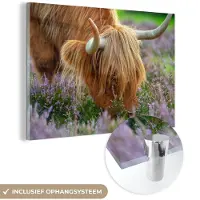 MuchoWow Glasschilderij 180x120 cm - Schilderij acrylglas - Schotse Hooglander - Hoorns - Heide - Foto op glas - Schilderijen