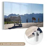 MuchoWow Glasschilderij 80x40 cm - Schilderij acrylglas - Schotse hooglander - Licht - Berg - Natuur - Foto op glas - Muurdecoratie woonkamer - Wanddecoratie slaapkamer - Schilderijen