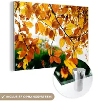 MuchoWow Glasschilderij 180x120 cm - Schilderij acrylglas - Herfstbladeren - Boom - Landelijk - Foto op glas - Schilderijen