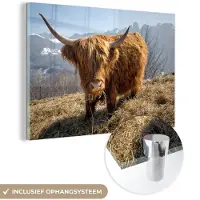 MuchoWow Glasschilderij 60x40 cm - Schilderij acrylglas - Schotse Hooglander - Berg - Sneeuw - Foto op glas - Schilderijen