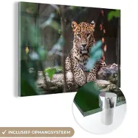 MuchoWow Glasschilderij 90x60 cm - Schilderij acrylglas - Panter - Jungle - Dieren - Foto op glas - Schilderijen