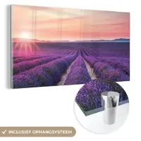 MuchoWow Glasschilderij 80x40 cm - Schilderij acrylglas - Lavendel - Paars - Bloemen - Foto op glas - Schilderijen