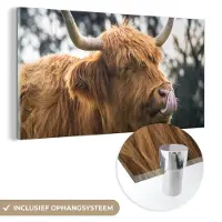 MuchoWow Glasschilderij 120x60 cm - Schilderij acrylglas - Schotse Hooglander - Neus - Boom - Foto op glas - Schilderijen