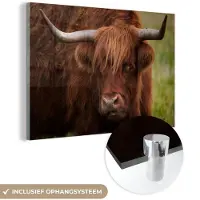 MuchoWow Glasschilderij 90x60 cm - Schilderij acrylglas - Schotse Hooglander - Oranje - Dieren - Foto op glas - Schilderijen