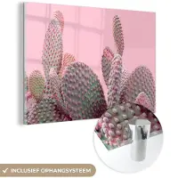 MuchoWow Glasschilderij 180x120 cm - Schilderij acrylglas - Cactus - Planten - Zomer - Foto op glas - Schilderijen