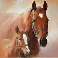 Ambiente 40x Wegwerp servetten paard met veulen 3-laags - Feestservetten
