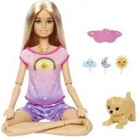 Barbie HHX64, Fashionpopp, Vrouwen, 3 jaar en ouder, Meisje, 215,9 mm, Meerkleurig
