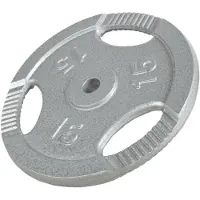 Gorilla Sports Halterschijf 15 kg gripper gietijzer zilver 30 mm