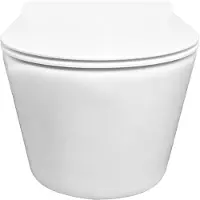 Boss & Wessing Rimless wandcloset bws mark met toiletzitting softclose en quick release glans wit