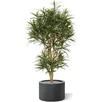 Maxifleur Kunstplanten Draceana Reflexa Anita kunstboom 160cm