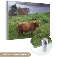 MuchoWow Glasschilderij 180x120 cm - Schilderij acrylglas - Schotse Hooglander - Gras - Water -Dieren - Foto op glas - Schilderijen