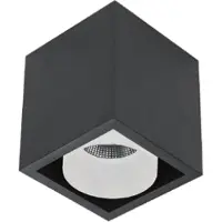 Boss & Wessing Spot BWS Regina Aluminium 745Lm 9,2W Zwart Met Witte Anti-Glare Ring