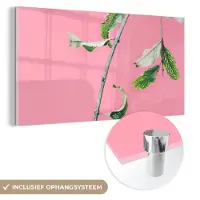 MuchoWow Glasschilderij 120x60 cm - Schilderij acrylglas - Planten - Zomer - Roze - Foto op glas - Schilderijen