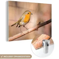MuchoWow Glasschilderij 180x120 cm - Schilderij acrylglas - Vogel - Tak - Roodborstje - Foto op glas - Schilderijen