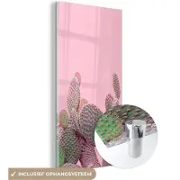 MuchoWow Glasschilderij 80x160 cm - Schilderij acrylglas - Cactus - Planten - Zomer - Foto op glas - Schilderijen