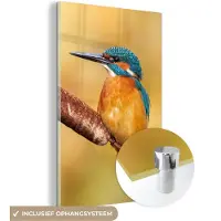 MuchoWow Glasschilderij 20x30 cm - Schilderij acrylglas - IJsvogel - Natuur - Vogel - Foto op glas - Schilderijen