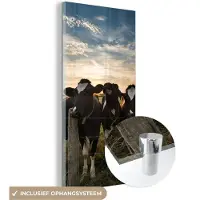 MuchoWow Glasschilderij 20x40 cm - Schilderij acrylglas - Dieren - Koe - Koeien - Foto op glas - Schilderijen